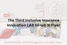 iii-lab 3 flyer